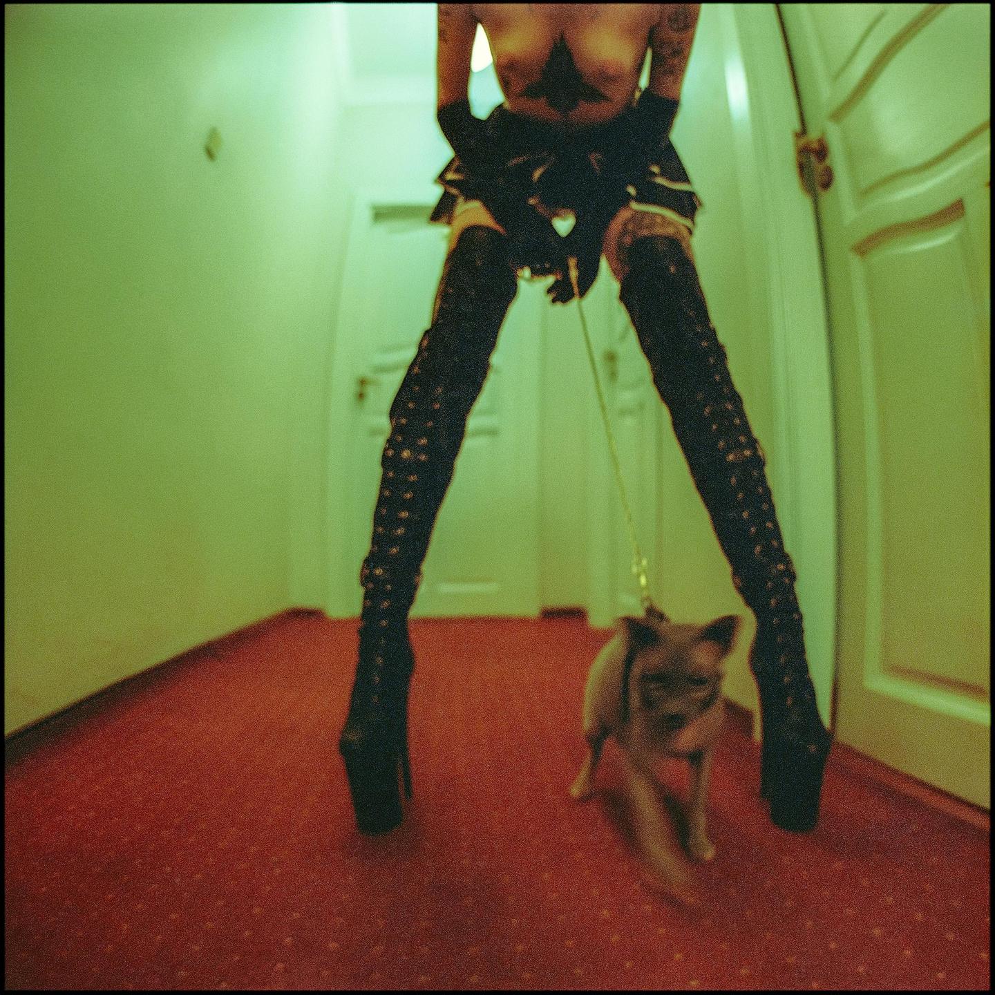 A person in tall boots and a short skirt stands with a small dog on a leash on a red carpet.