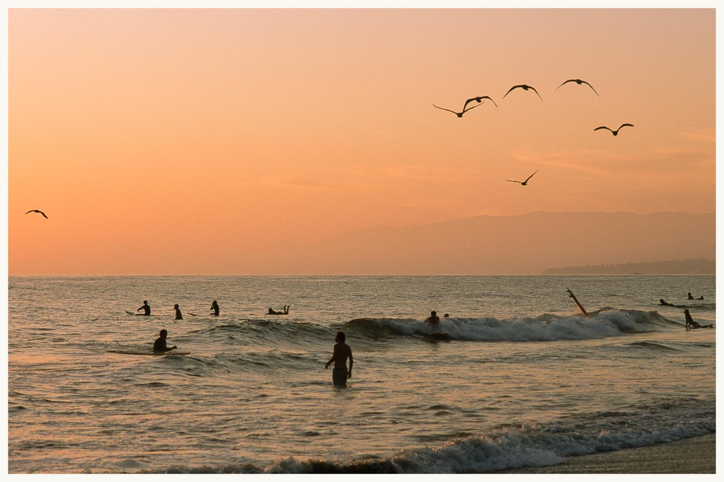 A group of surfers are in the ocean at sunset with birds flying overhead.