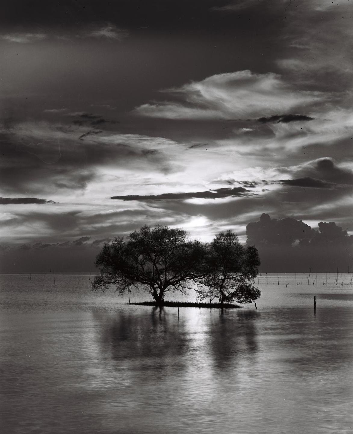 Two trees stand on a small island in the middle of a body of water under a dramatic sky.