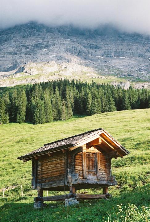 A small wooden cabin sits on a grassy hill with a forest and mountain in the background.