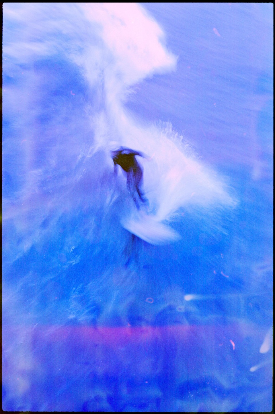 A surfer rides a wave in a blue-toned abstract image.