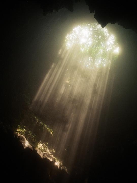 Sunlight streams through an opening in the ceiling of a dark cave, illuminating some foliage and rock formations below.