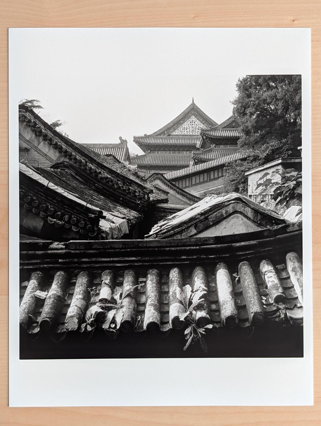 A black and white photograph shows the intricate roofs of the Summer Palace.