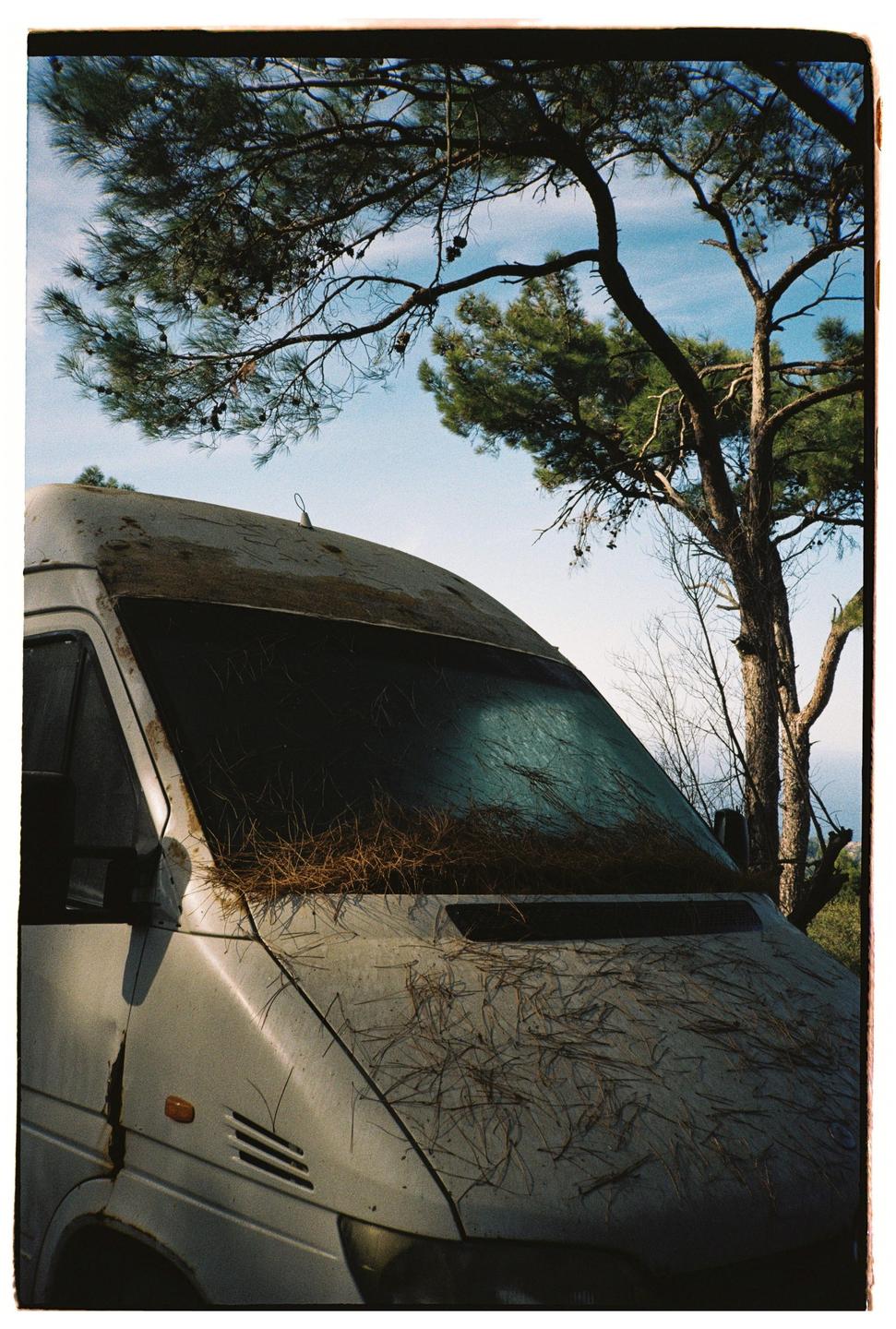 A white van covered in pine needles is parked under a large pine tree.