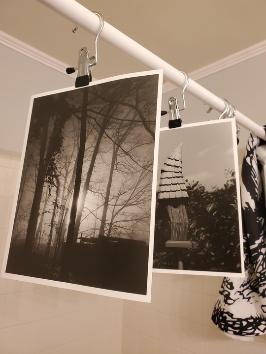 Two black and white prints hang from a shower rod with clips.