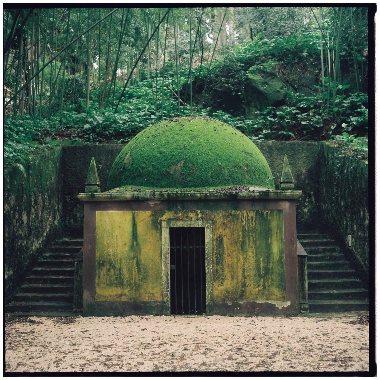 A small, moss-covered building with a domed roof is nestled in a lush, green forest with stairs leading up on either side.