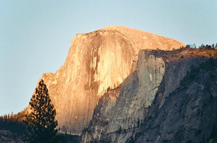 A large rock formation is illuminated by golden light with a single pine tree in the foreground.