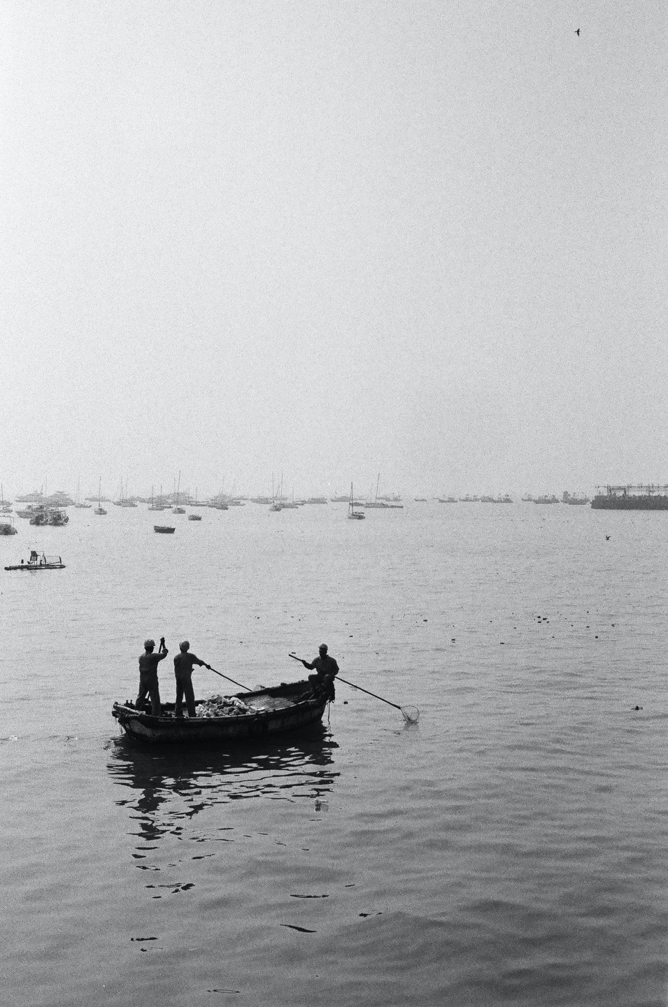 Three men are in a small boat on the water, with many other boats in the distance.