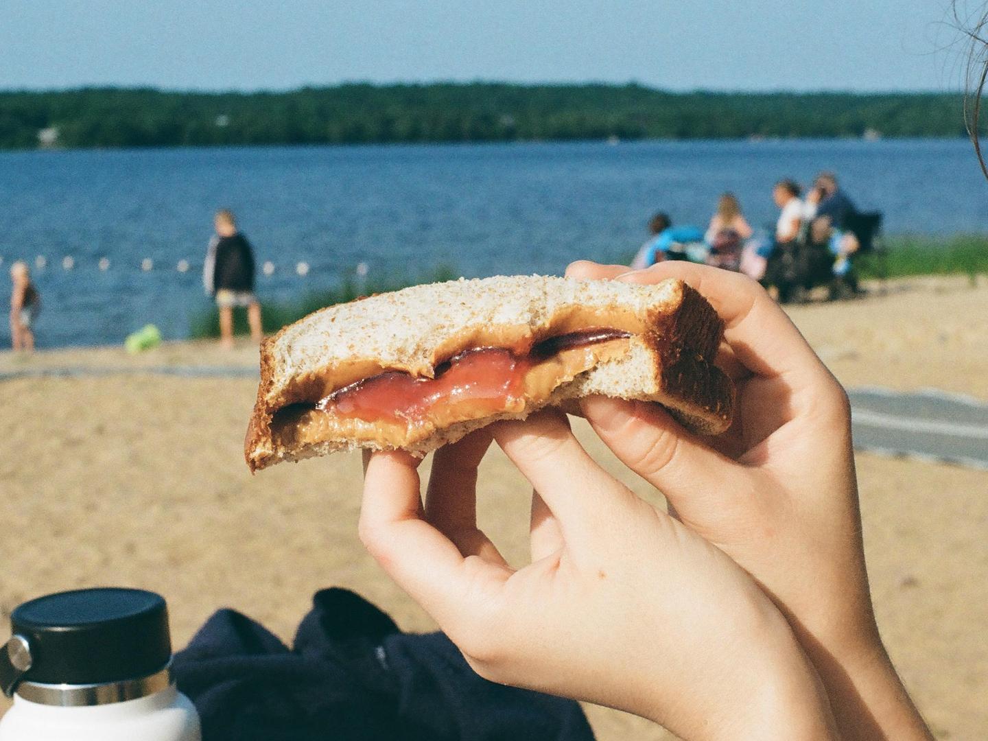 A person holds a peanut butter and jelly sandwich on a sandy beach next to a lake.