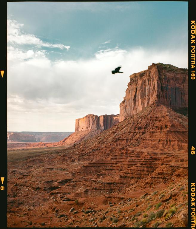 A bird flies over a vast desert landscape with red rock formations under a partly cloudy sky.