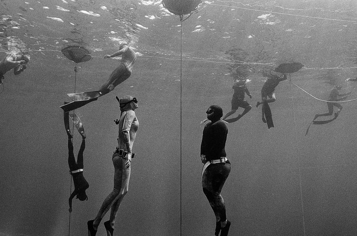 Several divers are visible underwater, some near the surface and others deeper, with ropes extending from buoys at the surface.