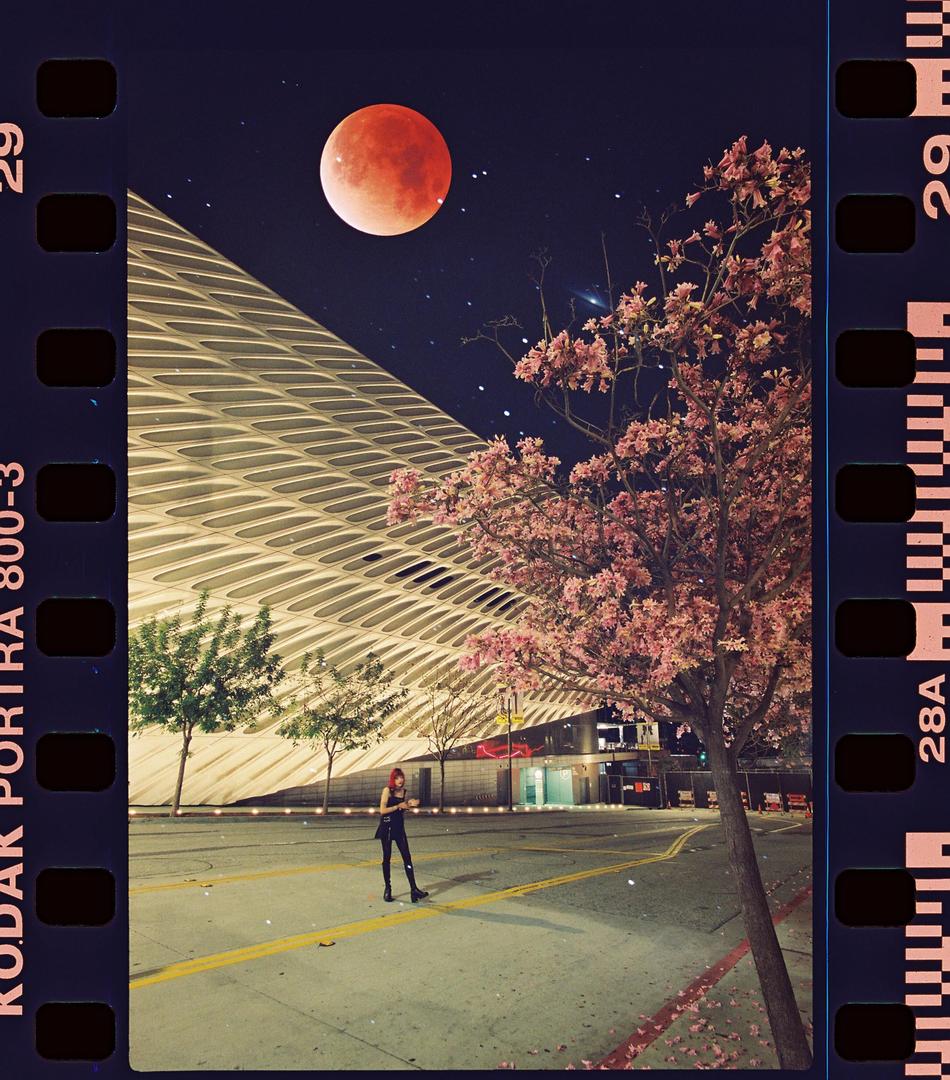Lunar Eclipse Double Exposures / Nikon F2 / 17-35 F2.8/ Porta 800, shot on NIKON F2