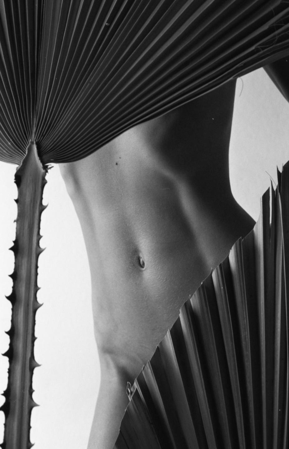 A person's torso is partially obscured by large palm fronds.