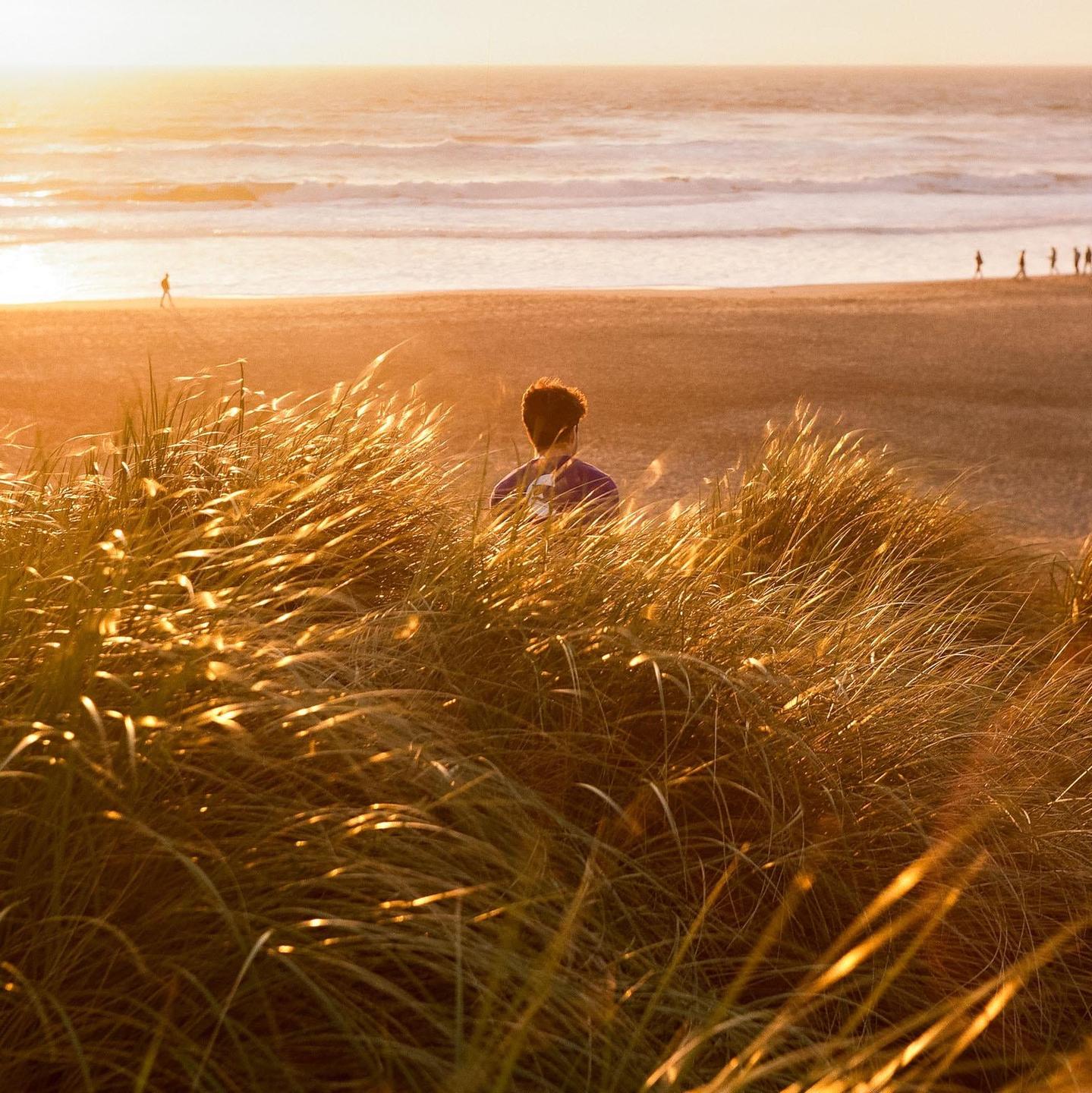 A person sits in tall grass looking out at the ocean at sunset.