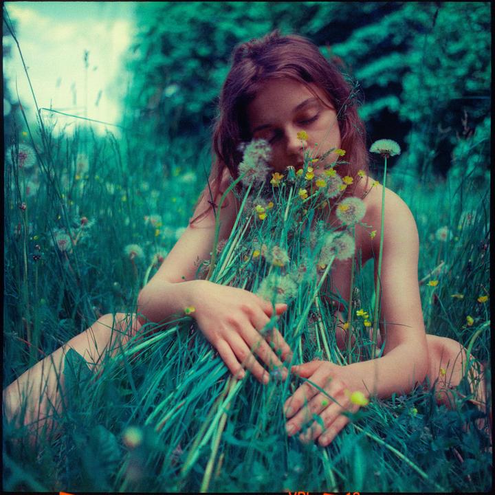 A young woman sits in a field of dandelions, holding a large bunch of them to her face.