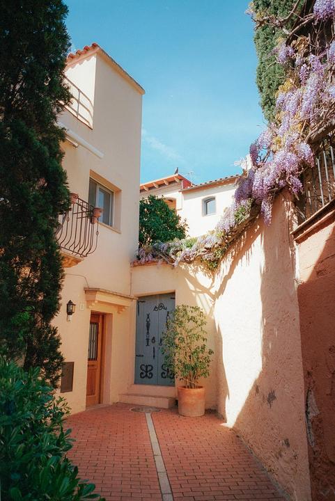 A narrow brick alleyway leads to a light blue door and a wooden door, with purple wisteria hanging over a wall.