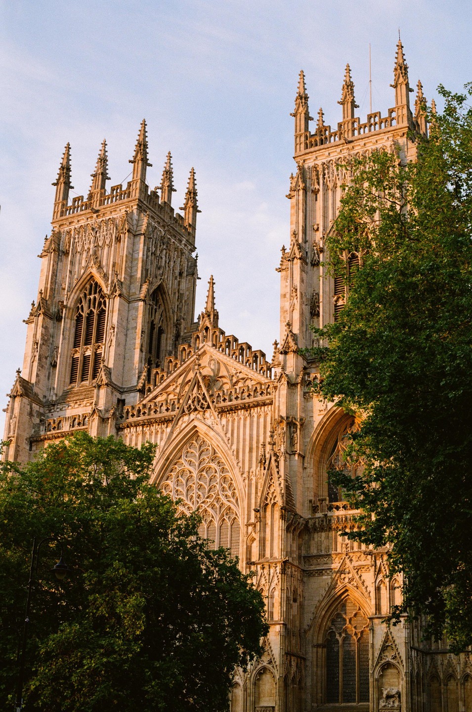 The ornate facade of York Minster is bathed in golden light, with green trees partially obscuring the lower sections of the cathedral.