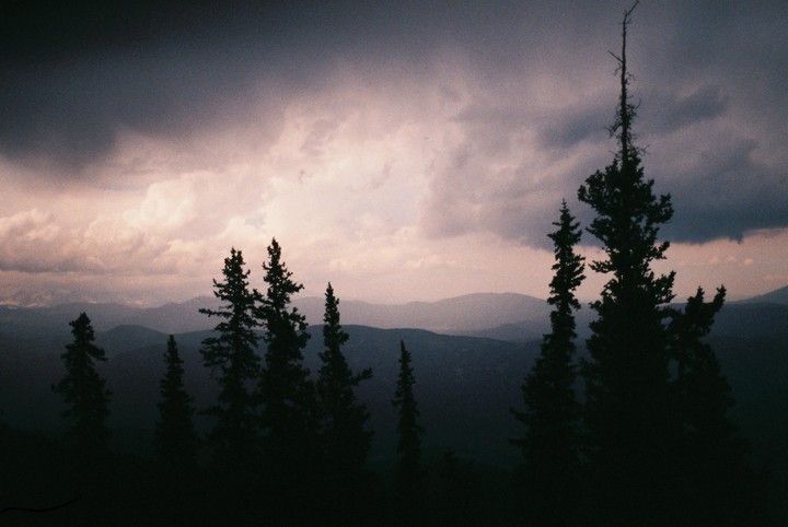 Silhouetted pine trees stand against a cloudy sky with mountains in the background.