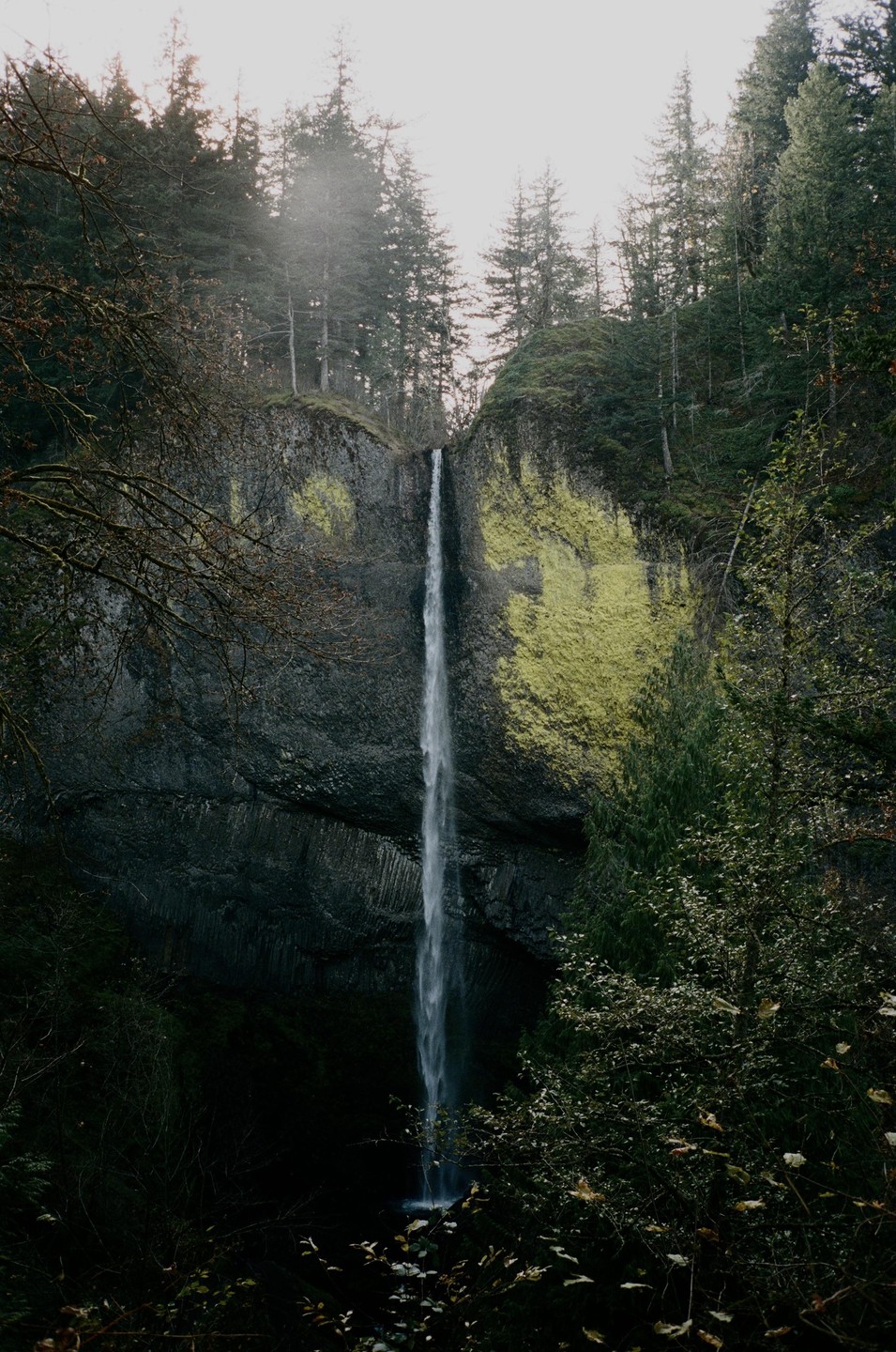 A tall, narrow waterfall cascades down a mossy cliff face surrounded by evergreen trees.