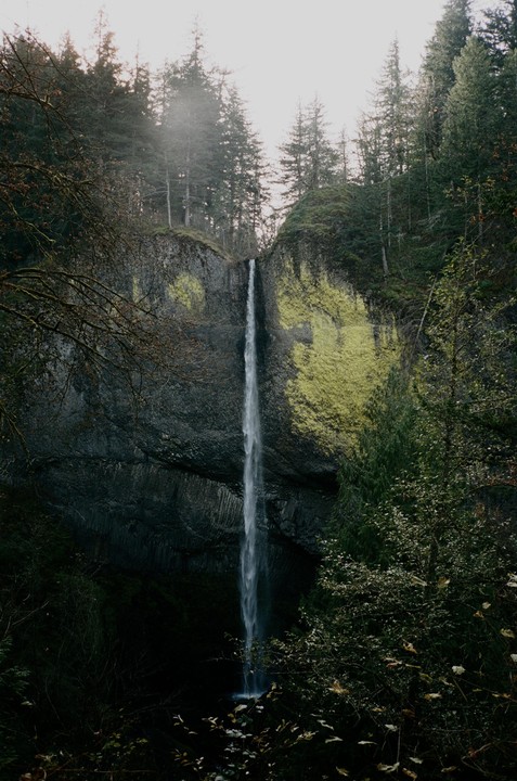 A tall, narrow waterfall cascades down a mossy cliff face surrounded by evergreen trees.