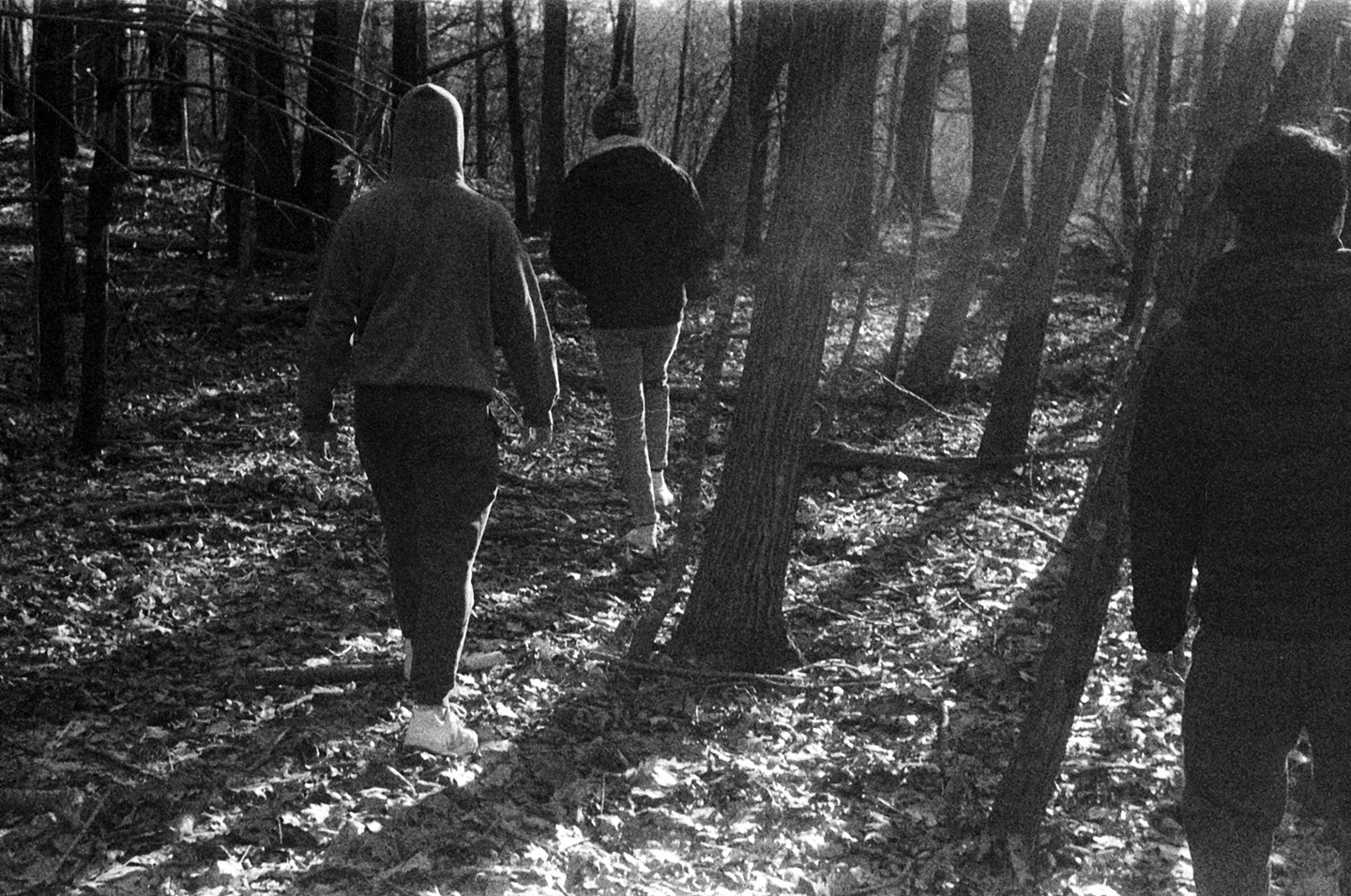 Three people walk away from the viewer through a forest with fallen leaves on the ground and strong shadows.