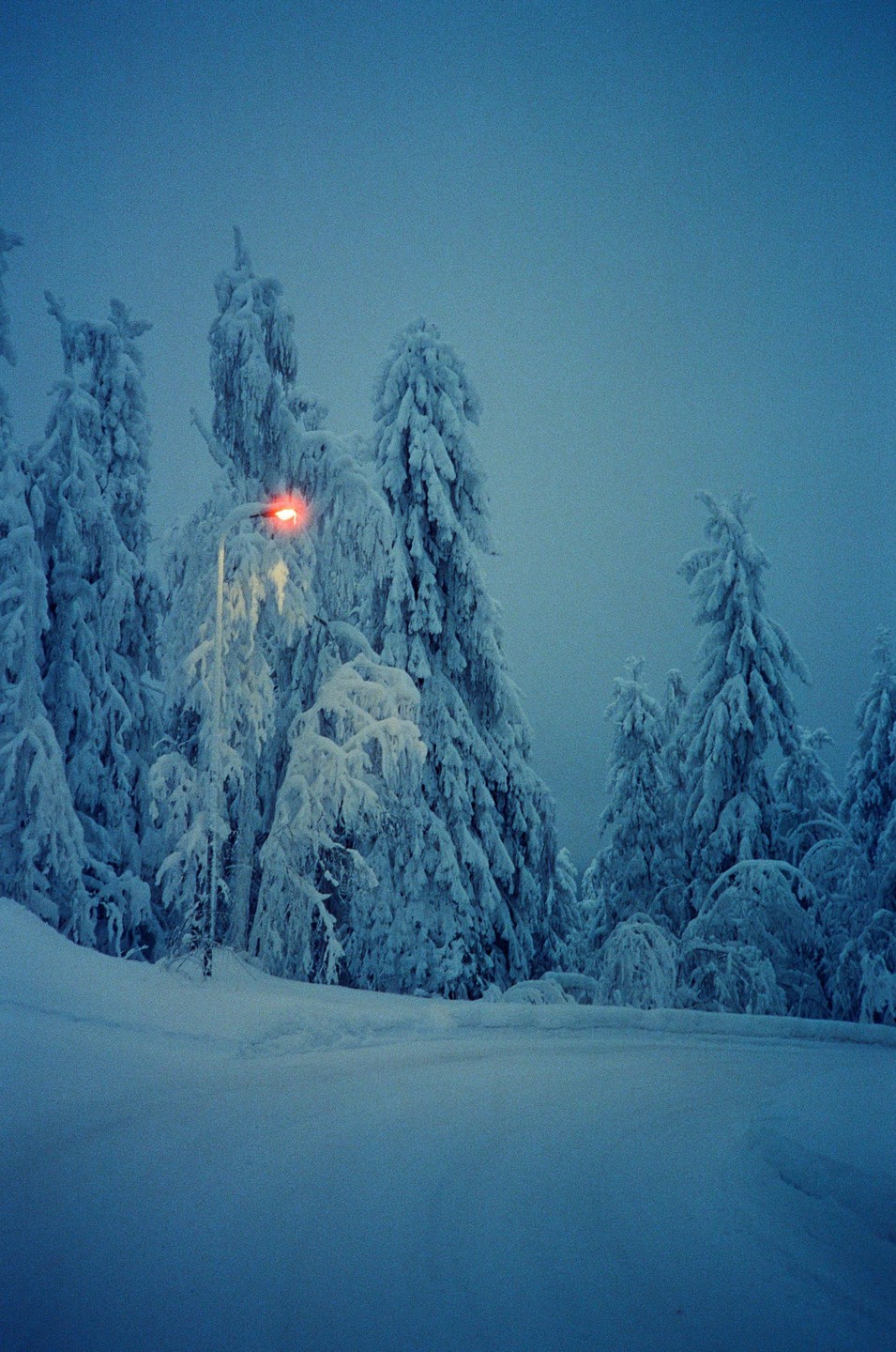 A red street light illuminates snow-covered pine trees and a snowy landscape at night.