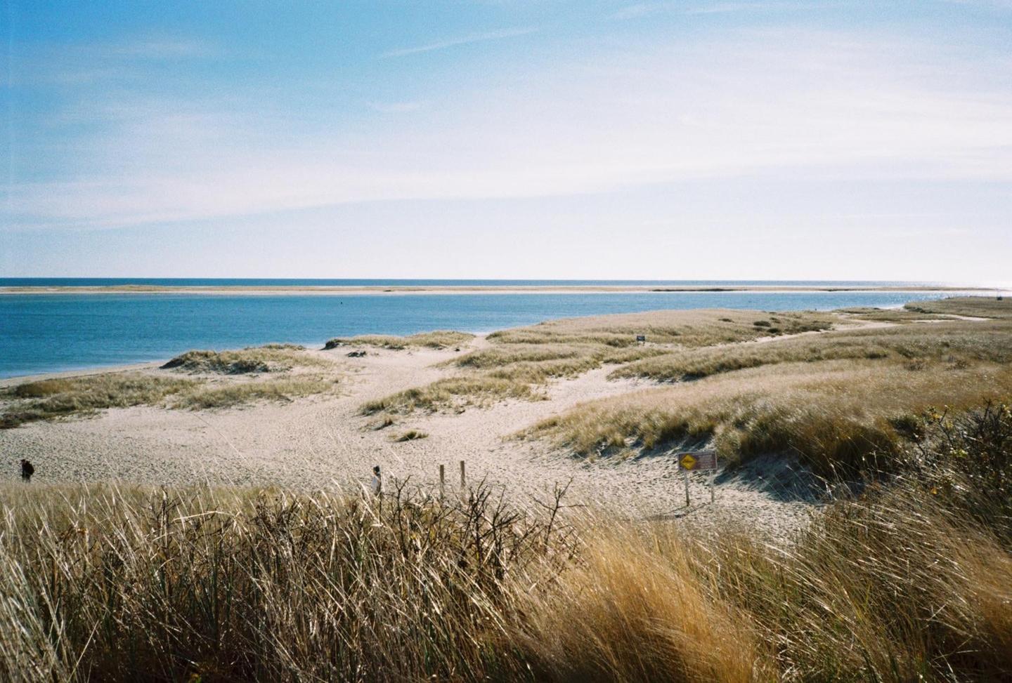 A sandy beach with tall grass and dunes stretches towards a body of water under a clear sky.