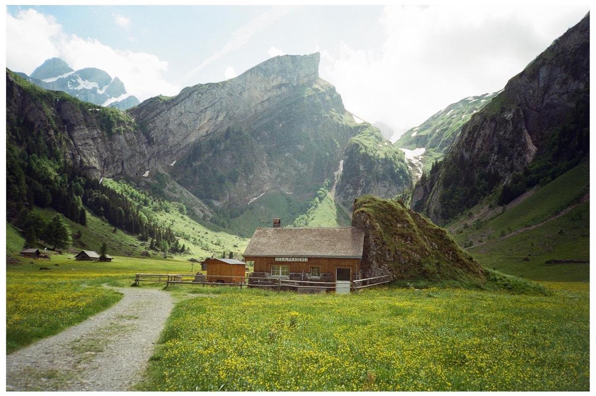 A small wooden building with a fence around it sits in a field of yellow flowers, surrounded by mountains.