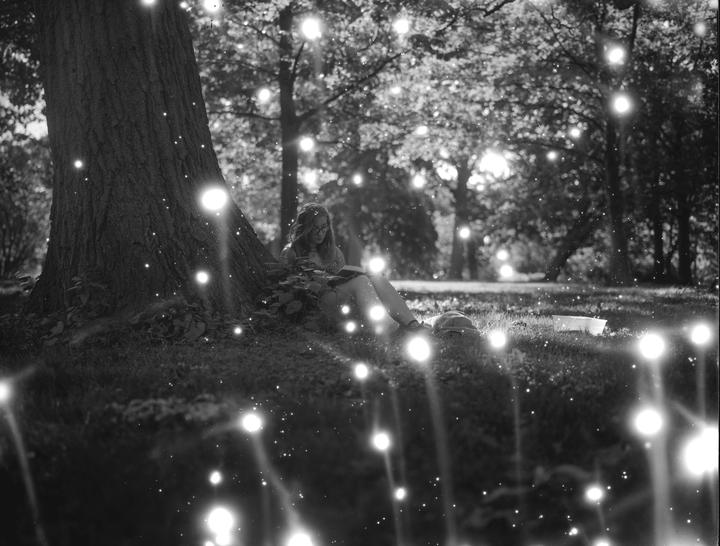 A girl sits under a large tree, reading a book, surrounded by bright, glowing orbs.
