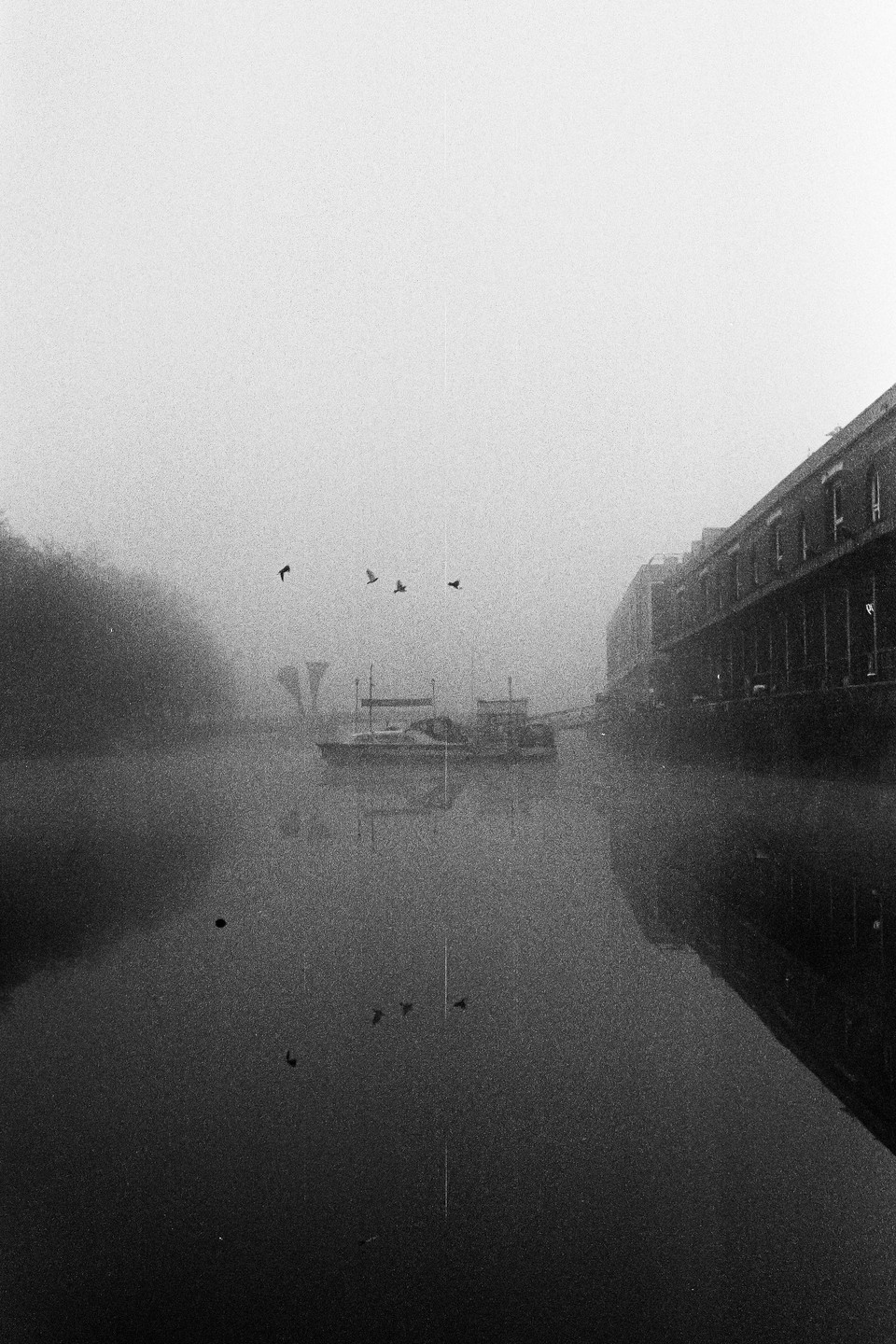 Four birds fly over a foggy canal with boats and buildings on either side.