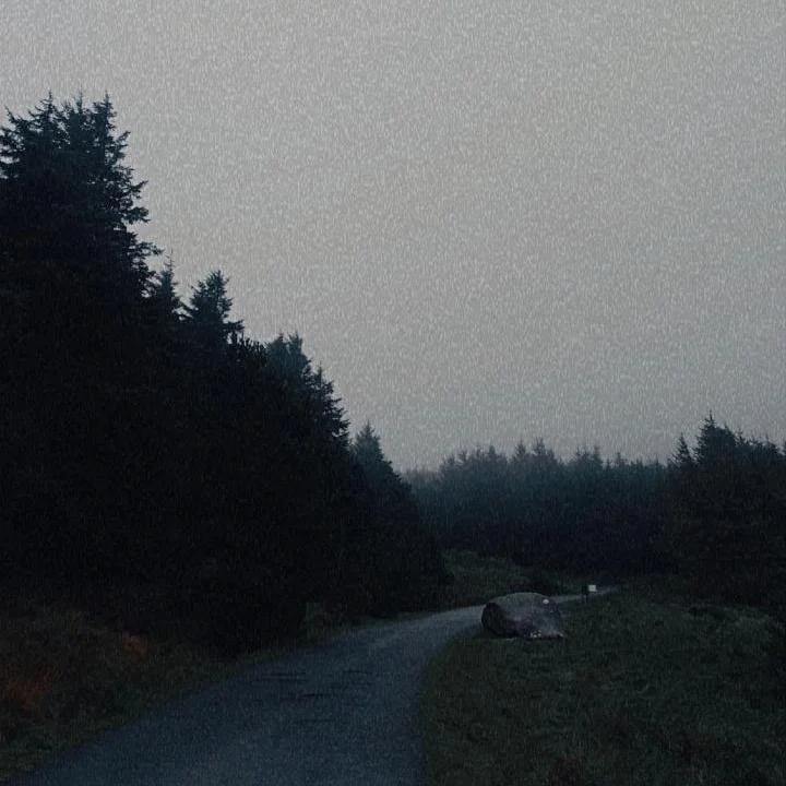 A winding road leads through a dark forest under a hazy sky.