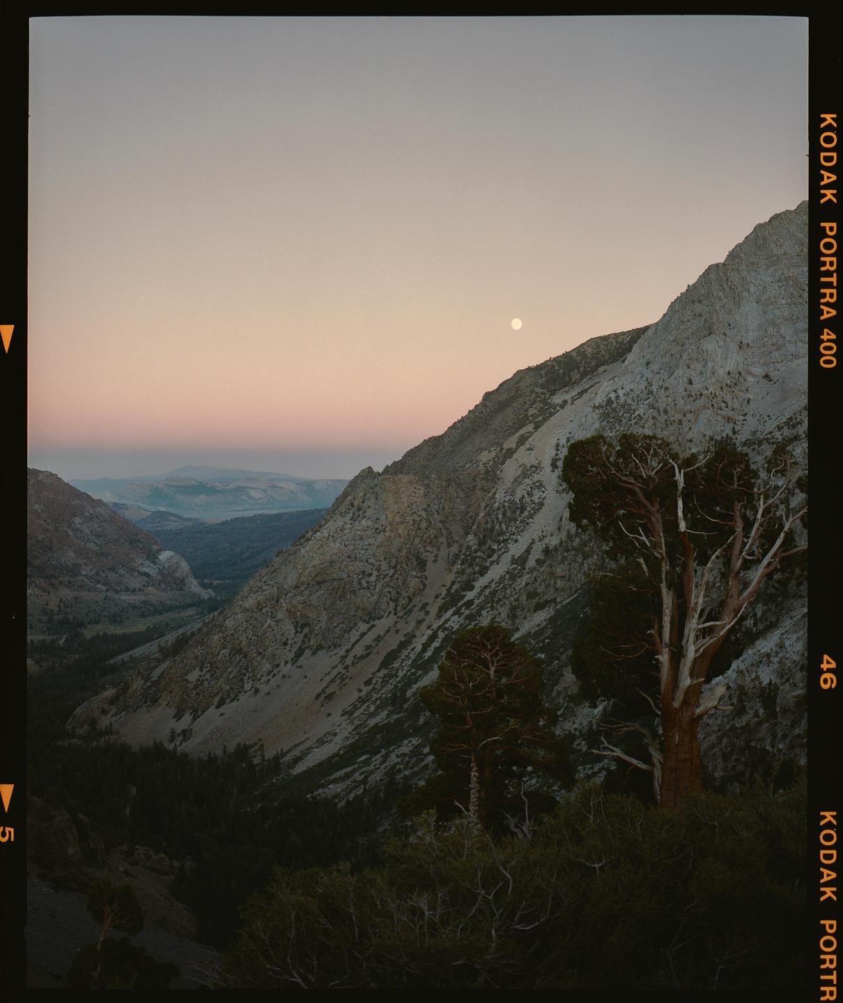 A full moon rises over a mountain valley with trees in the foreground.