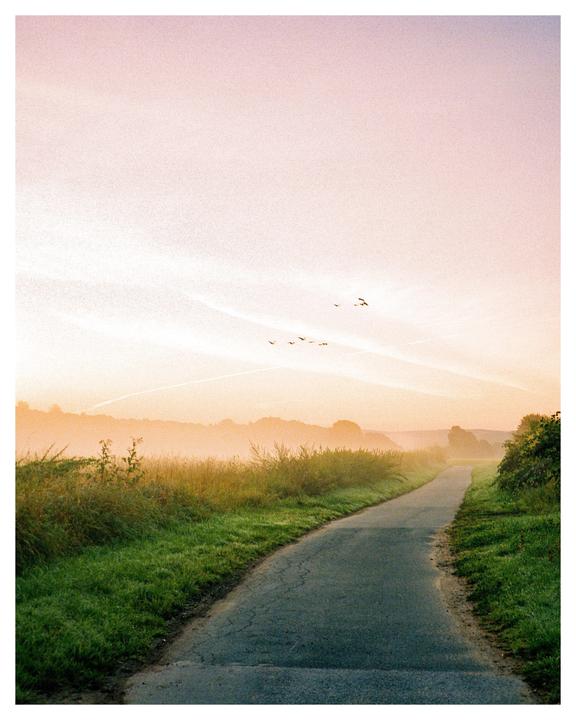 A narrow road curves through a grassy field with a hazy, colorful sky and birds flying in the distance.