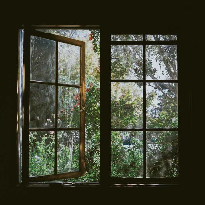 A view through an open window shows a lush green garden with trees and flowering bushes.