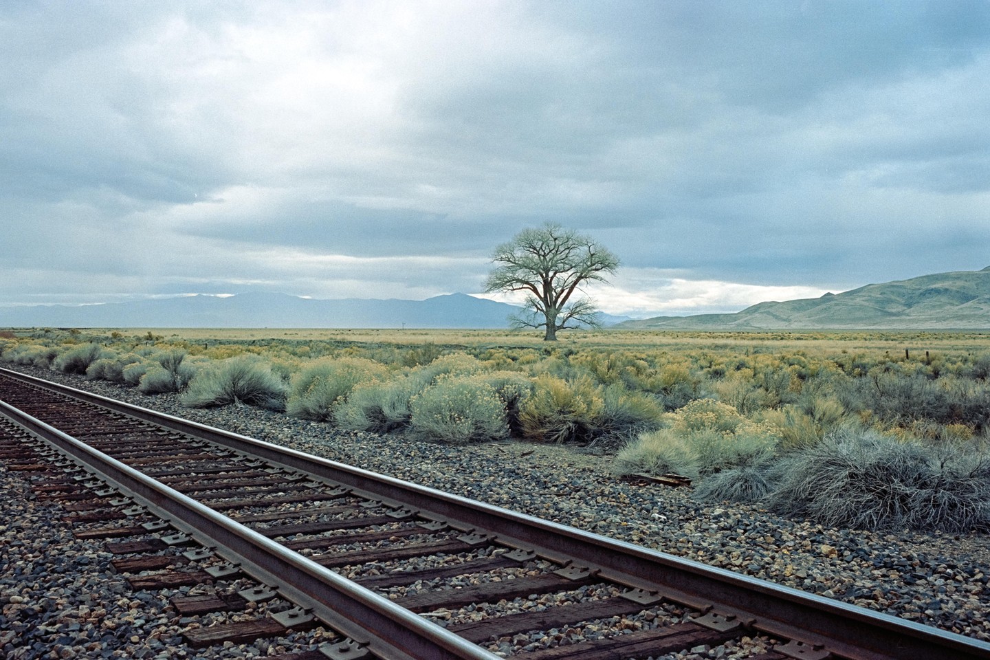 A single tree stands in a vast, arid landscape with railroad tracks in the foreground and mountains in the distance under a cloudy sky.