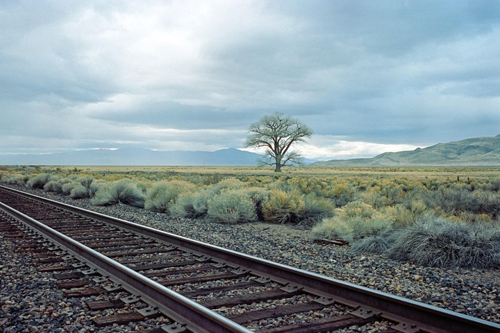 A single tree stands in a vast, arid landscape with railroad tracks in the foreground and mountains in the distance under a cloudy sky.