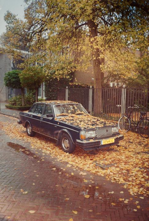 A dark blue car is parked on a brick street covered in autumn leaves next to a metal fence and a bicycle.