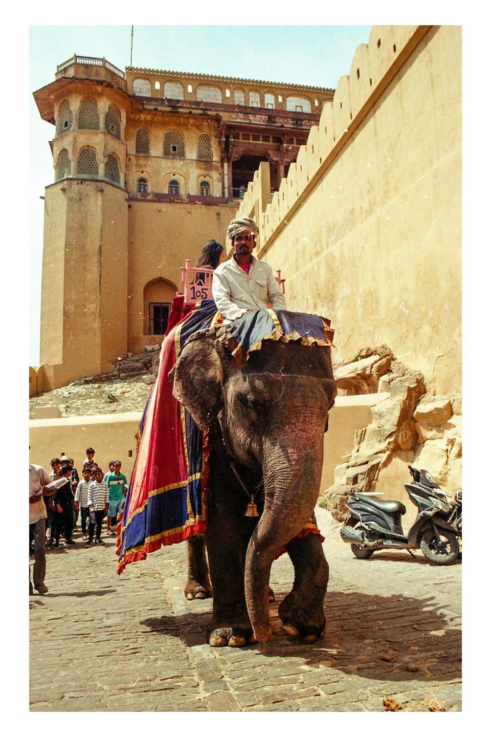 A man rides an elephant on a paved street in front of a large building.