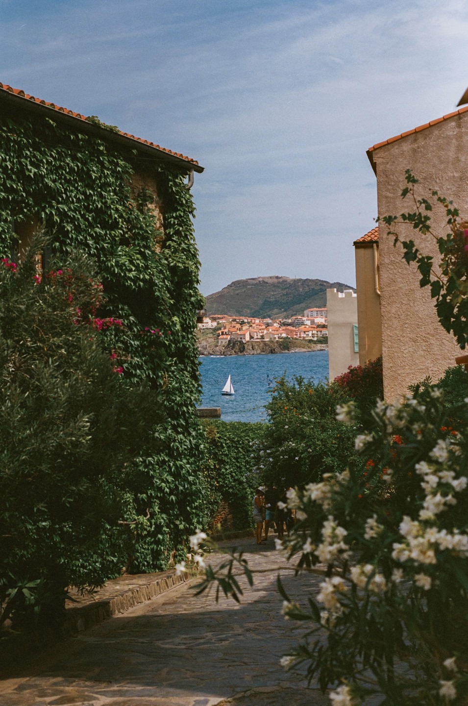 A narrow path between ivy-covered buildings leads to a view of a sailboat on the sea and a town on a distant hillside.