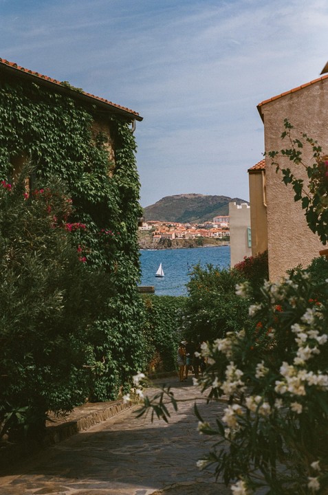 A narrow path between ivy-covered buildings leads to a view of a sailboat on the sea and a town on a distant hillside.