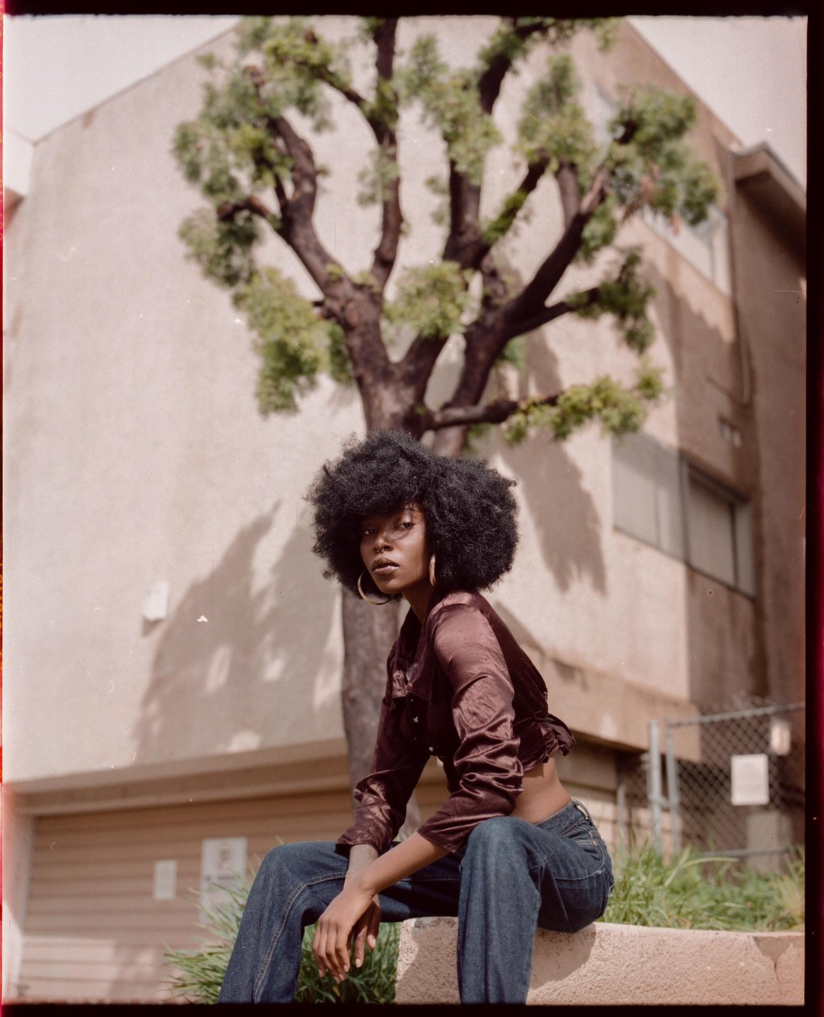 A woman with an afro hairstyle and hoop earrings sits outdoors in front of a building and a tree.