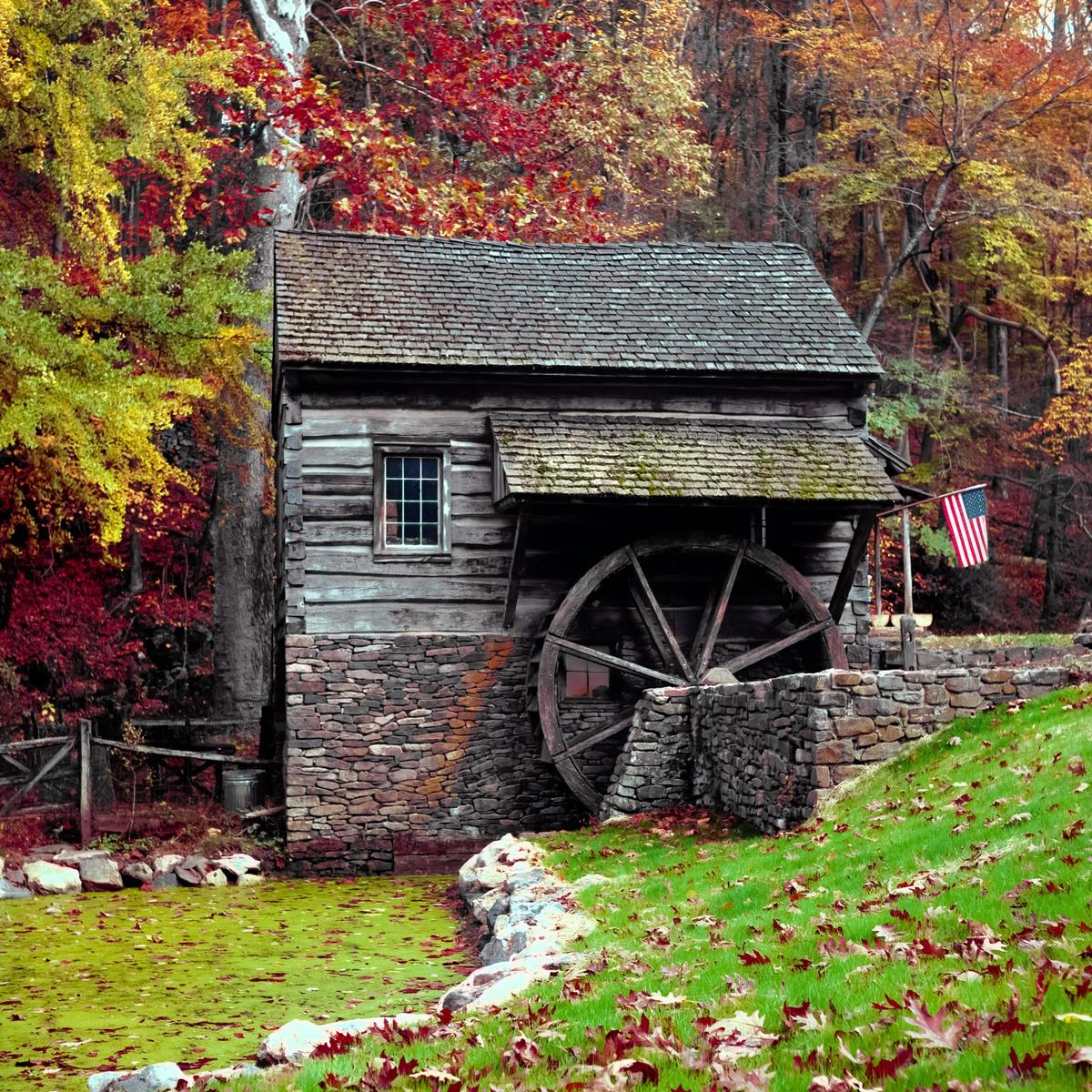 A wooden mill with a water wheel stands beside a pond with green algae, surrounded by trees with autumn foliage.
