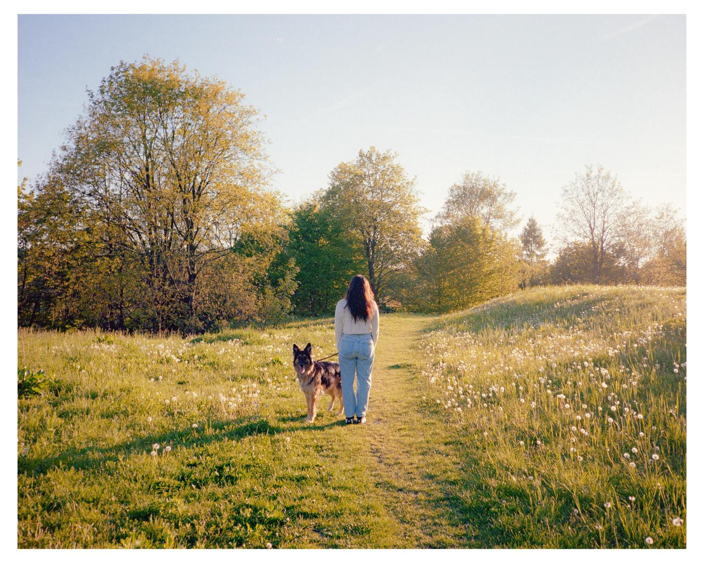 A woman and a dog stand on a grassy path surrounded by trees and dandelions.