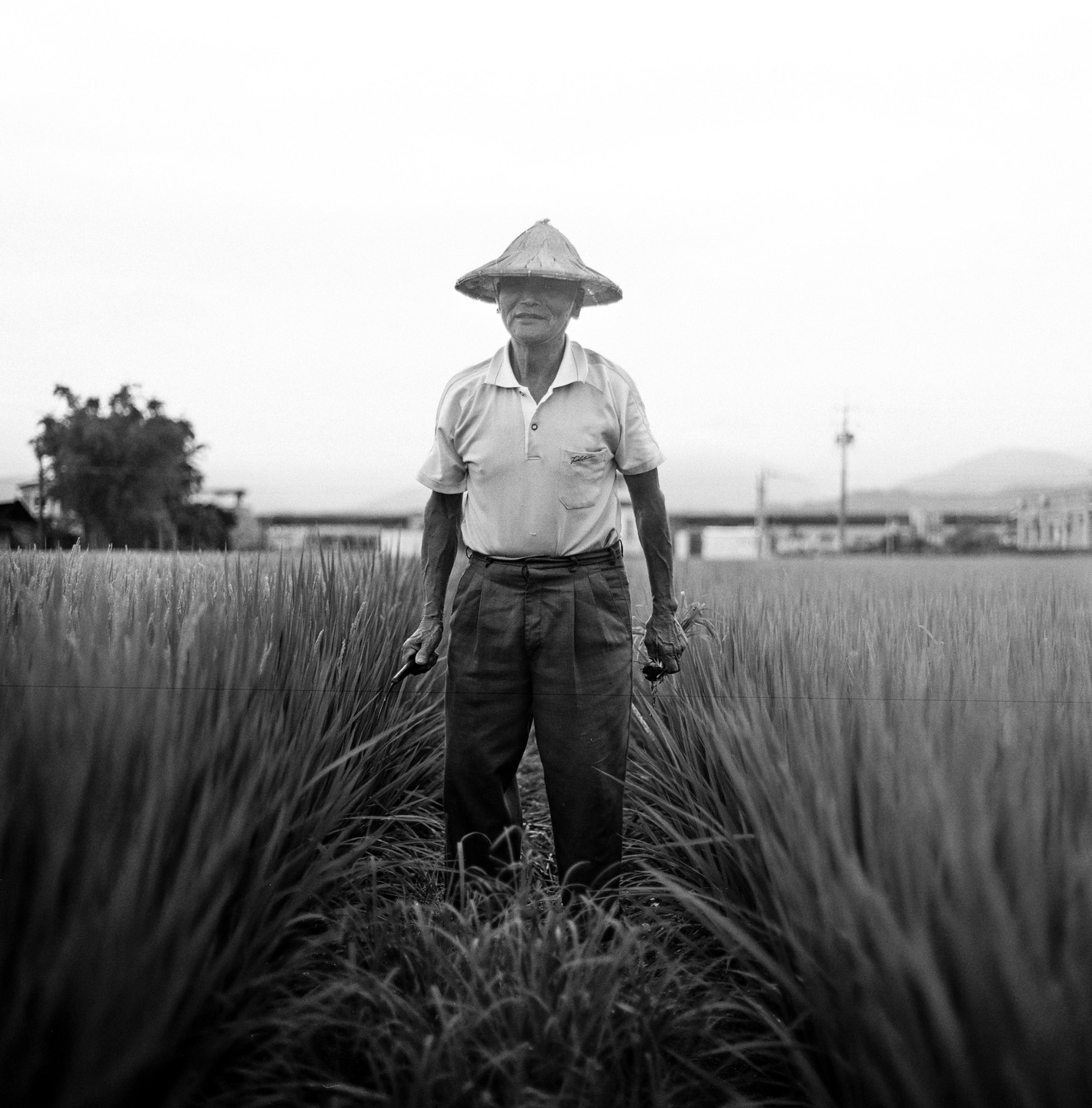 A man wearing a conical hat stands in a field of tall grass.