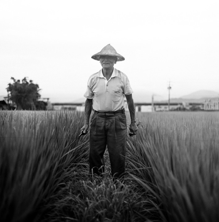 A man wearing a conical hat stands in a field of tall grass.