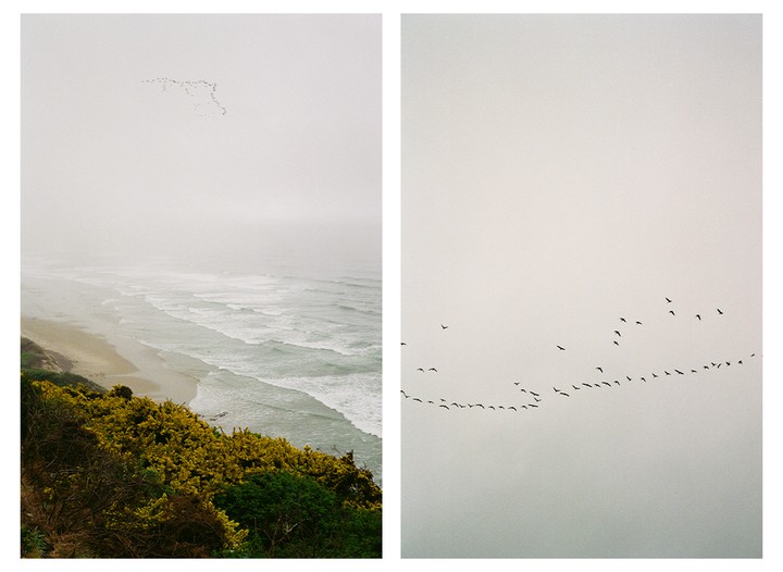 A flock of birds flies over a hazy coastline with waves crashing on the beach.
