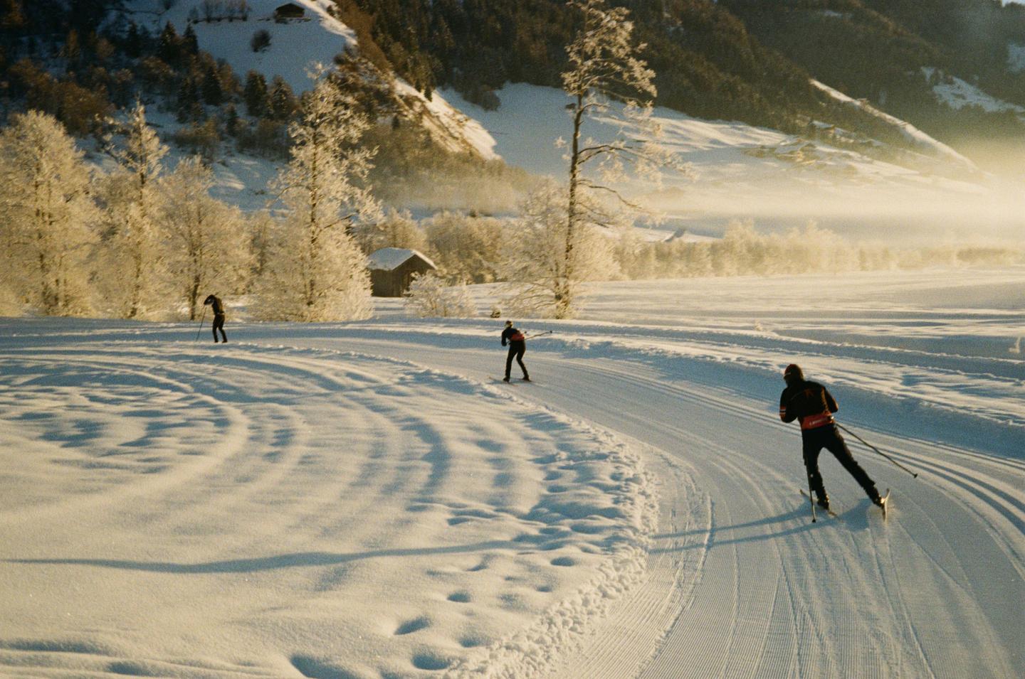 Three people ski on a snowy path through a winter landscape with trees and mountains.