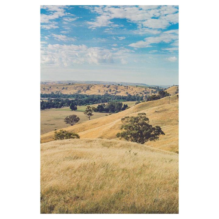 A landscape view shows rolling hills covered in dry grass and scattered trees under a blue sky with clouds.