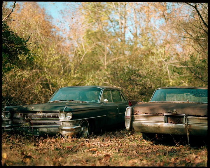 Two vintage cars are parked in a wooded area with autumn foliage.