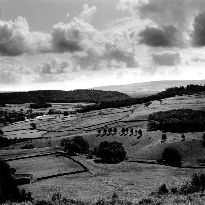 A black and white landscape shows rolling hills and fields divided by stone walls under a cloudy sky.